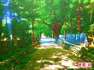 第１９７０号 成長とは・・・