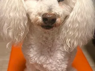 秋の夜