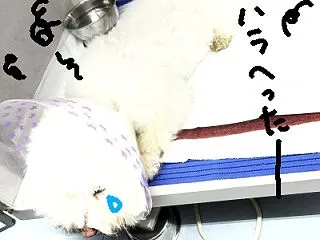 入院7（面会4日目）