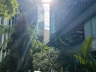 それでも奇跡は、もう起きている