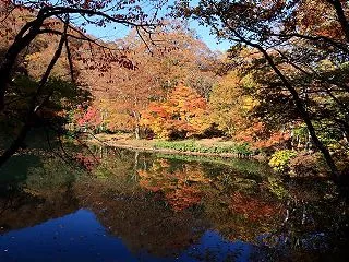 2026/10/11 山形紅葉山行・蔵王…