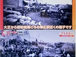  原田商店破産後、十勝の雑穀 「大正から…