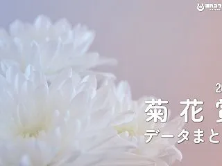 【GⅠ】菊花賞2026 過去データ・傾向…