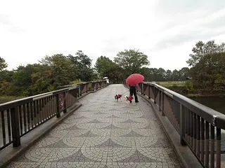 空回りするインディアン水車