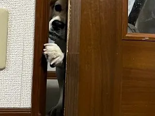 ぬり絵のペン、インクのなくなりが早いなぁ