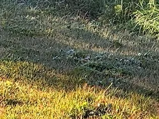 今年シーズン初めての‥