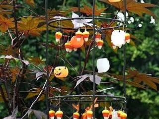 歯医者さん