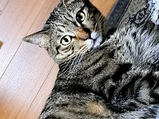 北海道から沢山の野菜が！