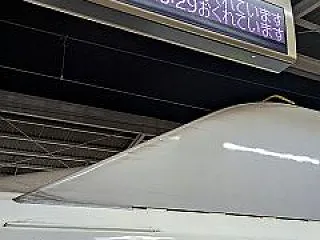 今度は1週間ぶり