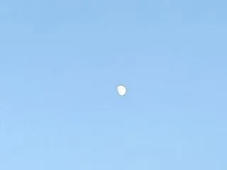 夕方の月