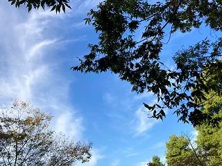 消えない不安。付き合うしかないか‥