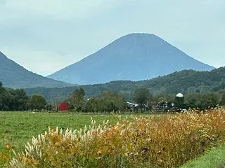 2026石垣島の旅その28〜５年目の石垣…
