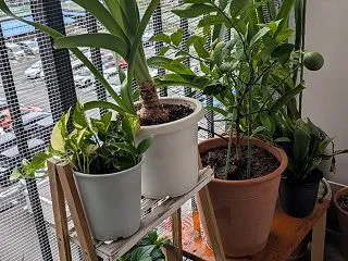 ちよっと模様替え。
