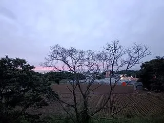 《歌人》と名乗ってはいるけれど