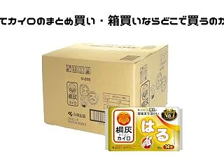 使い捨てカイロのまとめ買い・箱買いならど…