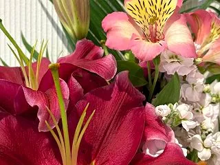 ★それをやめたらどうなりそう？