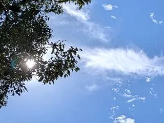 風が強かった日