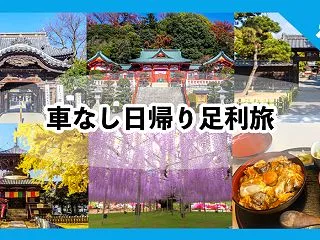 足利の日帰り観光モデルコース！車なしで巡…