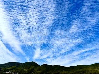 🍂秋雲☁️