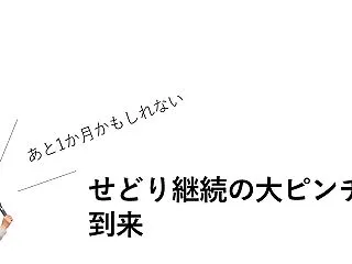 せどり継続の大ピンチが到来【あと1か月か…