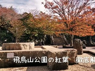 飛鳥山公園の紅葉を満喫する！見頃や楽しみ…
