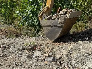 道補修 暑さに強い真竹が残る