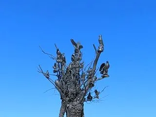 うっそりしたヴィーナスの誕生に持ってかれ…
