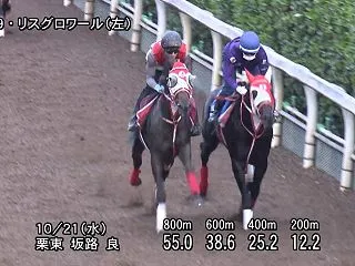 【アルテミスステークス2026】追い切り…