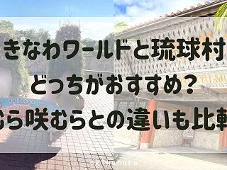 おきなわワールドと琉球村はどっちがおすす…