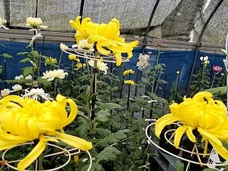 搬入前の最終点検