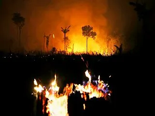 ブラジル・アマゾンの山火事が253%増加…