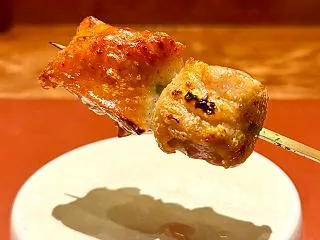 気になっていた夜の焼き鳥Styleコース…
