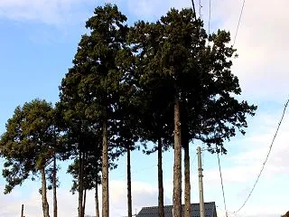 ちょっと寄り道...ヤマタノオロチ伝説を…