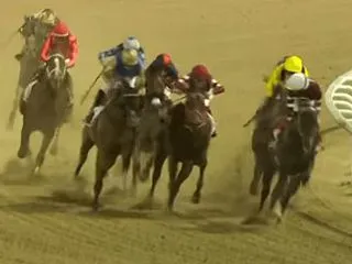 天皇賞秋の過去データ＆血統分析！【穴馬ア…