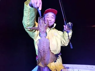 カワハギカットウ釣り動画