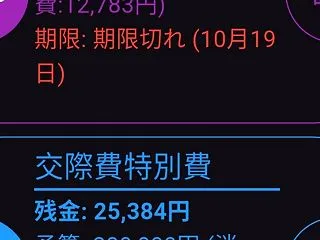 個人情報さらけ出し家計簿公開