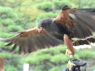 【一橋大教室➂第２回】明日23日実施です