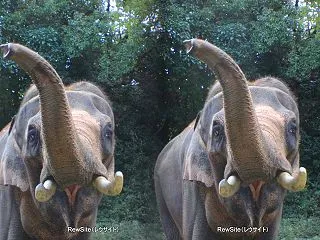 2026年10月22日(木)立体写真 よ…