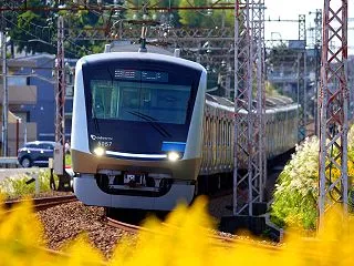 5000形5057Fを黄色い花とともに