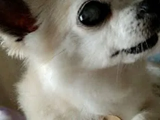 生きていくということ