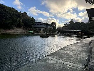 【釣行記録】釣りパラダイスで5時間勝負！…