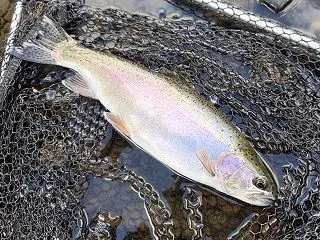 【北海道】限界突破の渇水