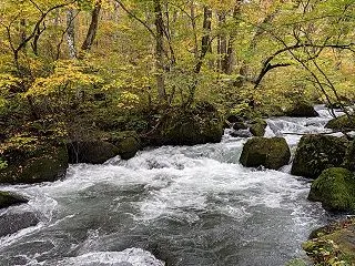 青森旅行 奥入瀬渓流