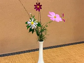 茶道教室