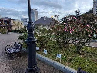 コースカでの食事と、夕方のヴェルニー公園…