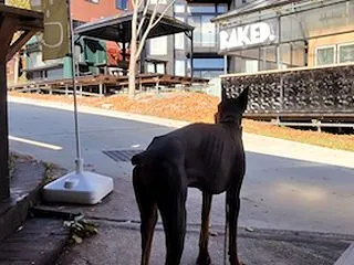キッチンに入れない