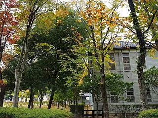 ★松本市あがたの森公園の木々が色付き始め…