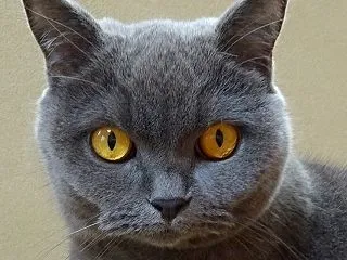 ブログについて。