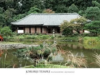 京都 浄瑠璃寺 「小さな山寺だけど・・・…