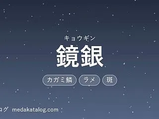 鏡銀（きょうぎん）とは｜特徴・値段・固定…